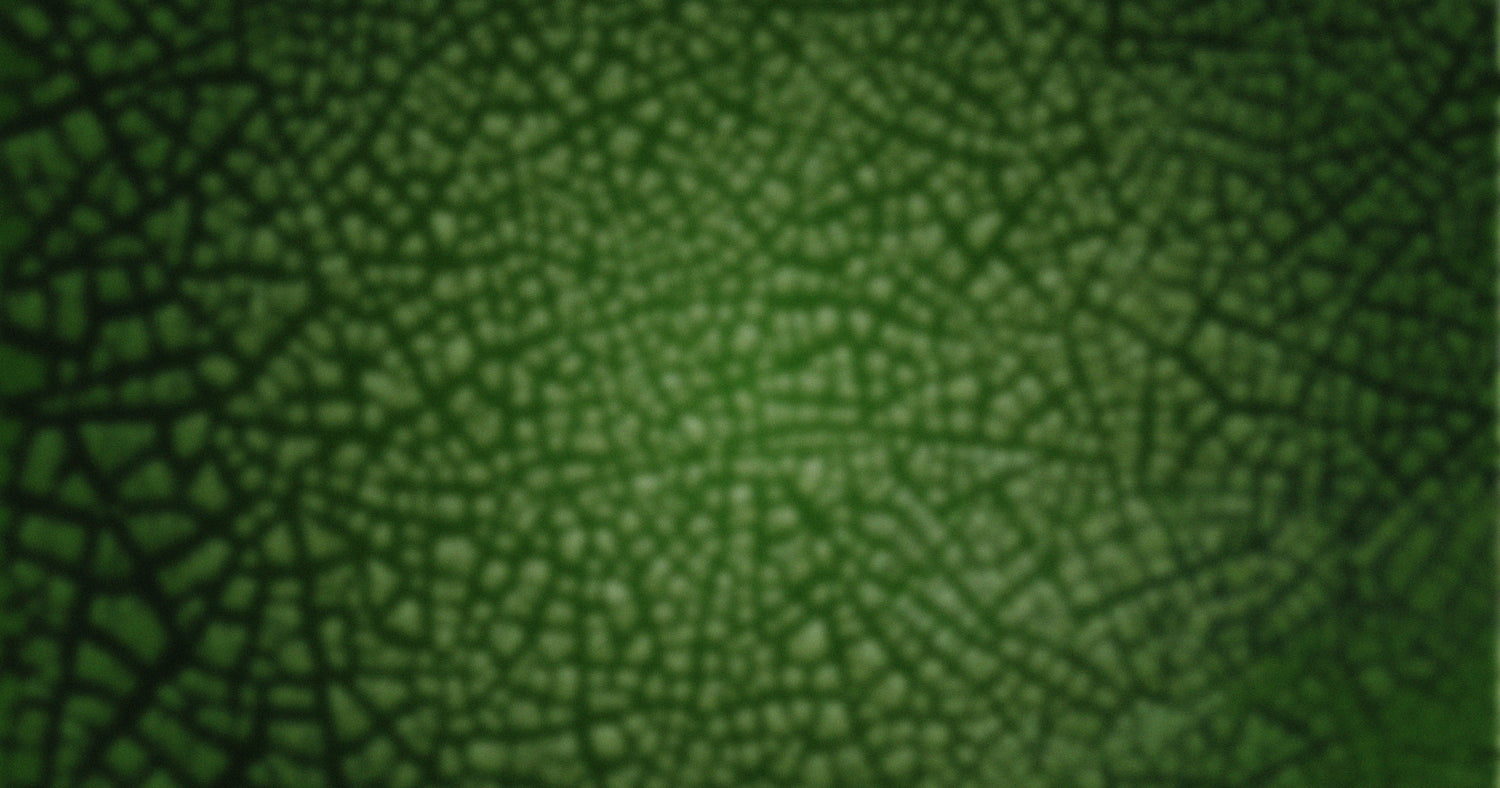 Naturtheke