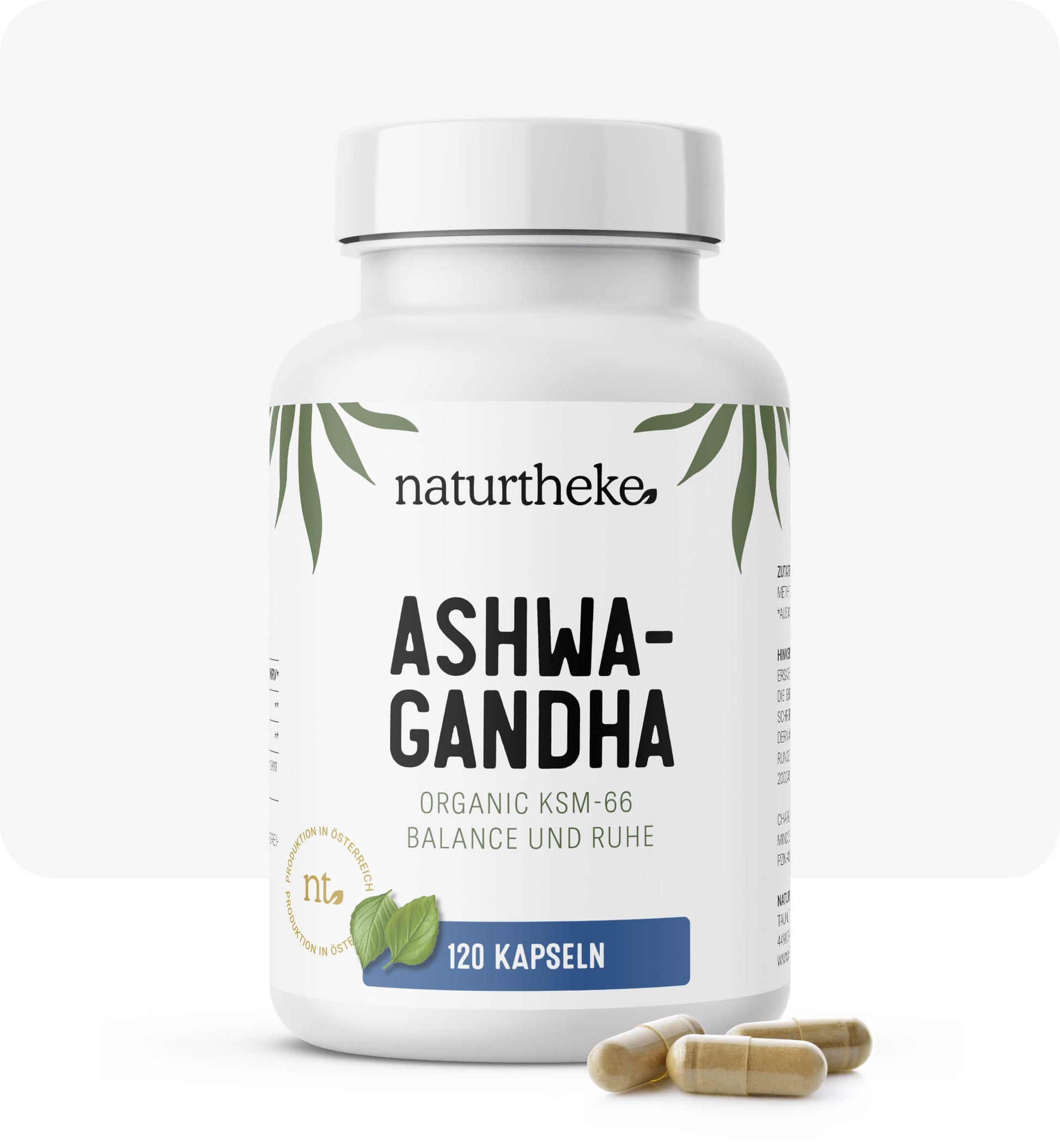 Bio Ashwagandha KSM-66 Naturtheke, ashwagandha kapseln, ashwagandha ksm66, bio ashwagandha, ksm66, ashwagandha kaufen, bio ashwagandha kapseln