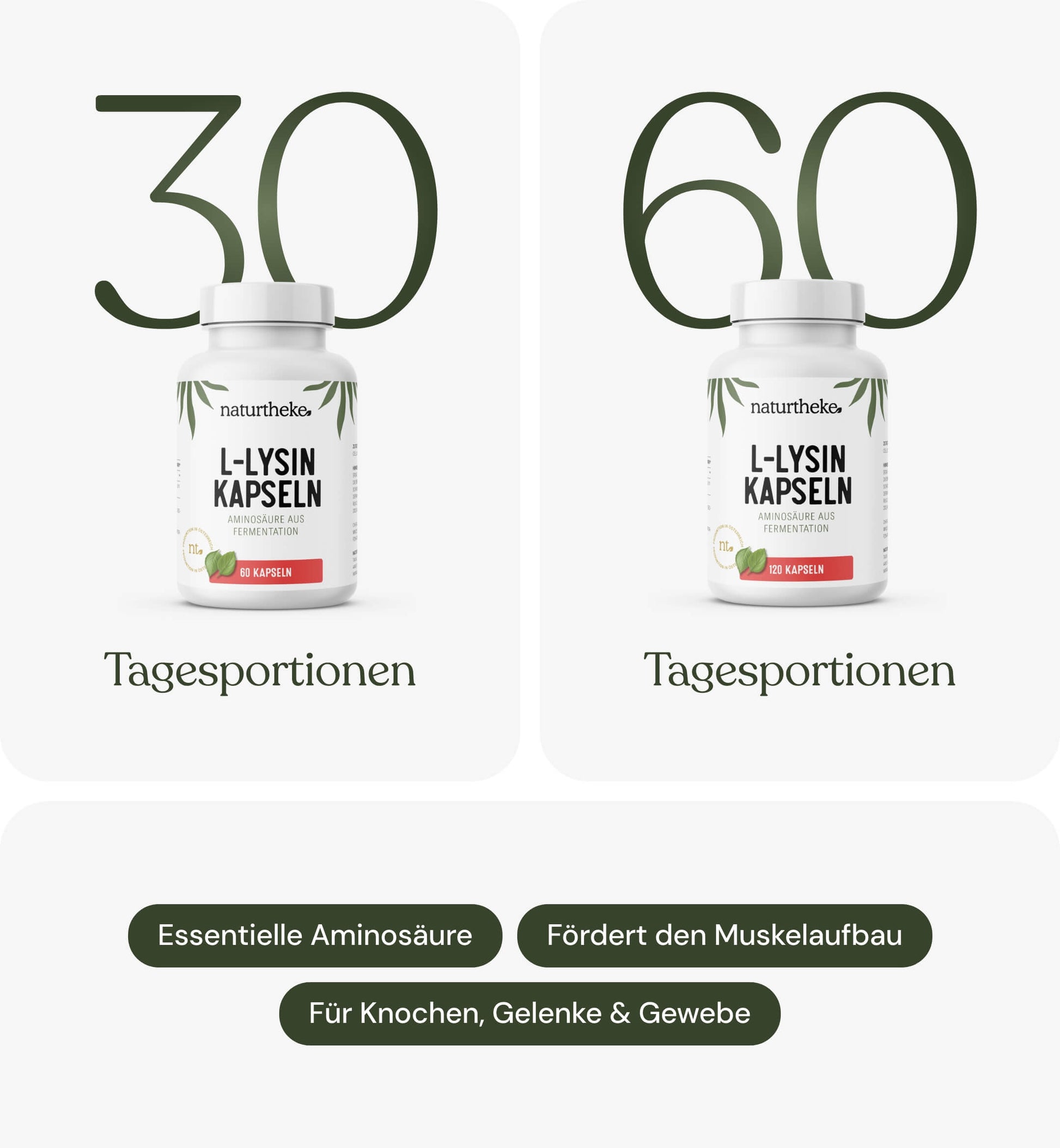 L-Lysin naturtheke, lysin tabletten, lysin kapseln, l lysin kapseln, lysin, aminosäure lysin, lysin kaufen