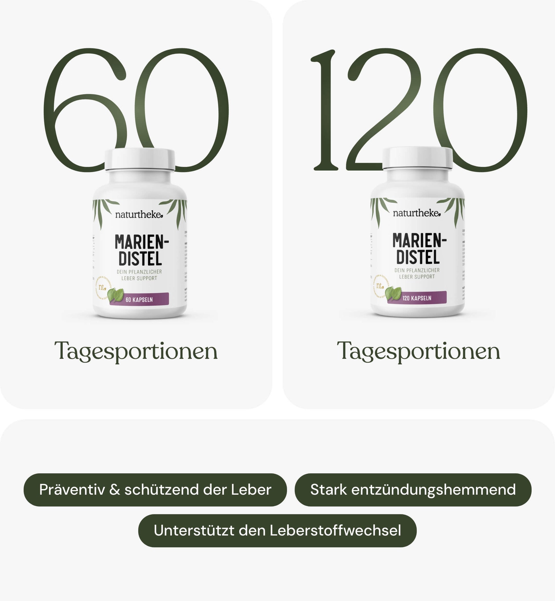 Leber mit Mariendistel naturtheke, leber komplex, leber komplex mit mariendistel, leber komplex kapseln, mariendistel kapseln, mariendistel für leber, mariendistel tabletten, kapseln für leber, mariendistel kaufen
