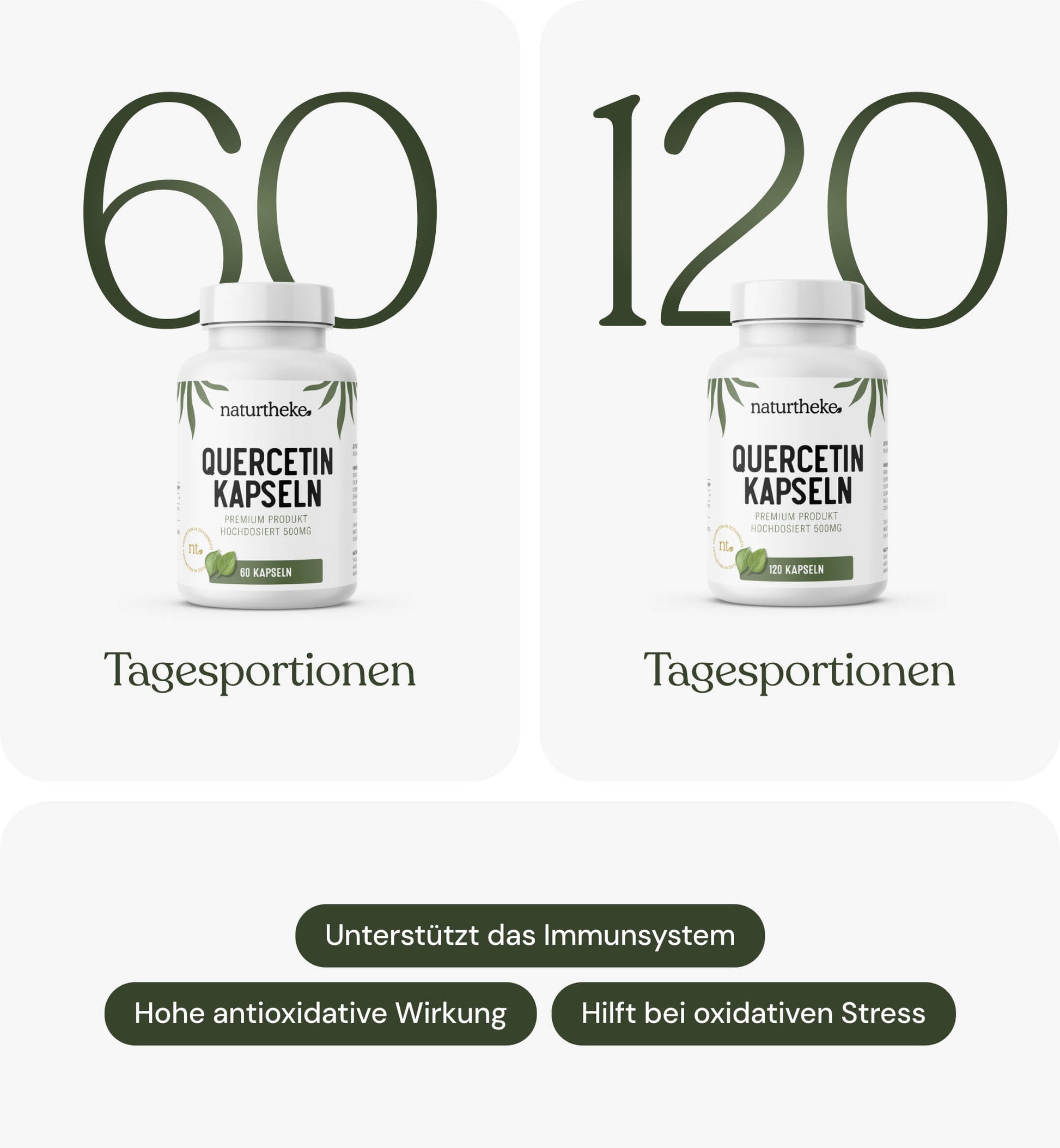 Quercetin naturtheke, quercetin, quercetin kaufen, quercetin kapseln, quercetin hochdosiert, quercetin 500mg