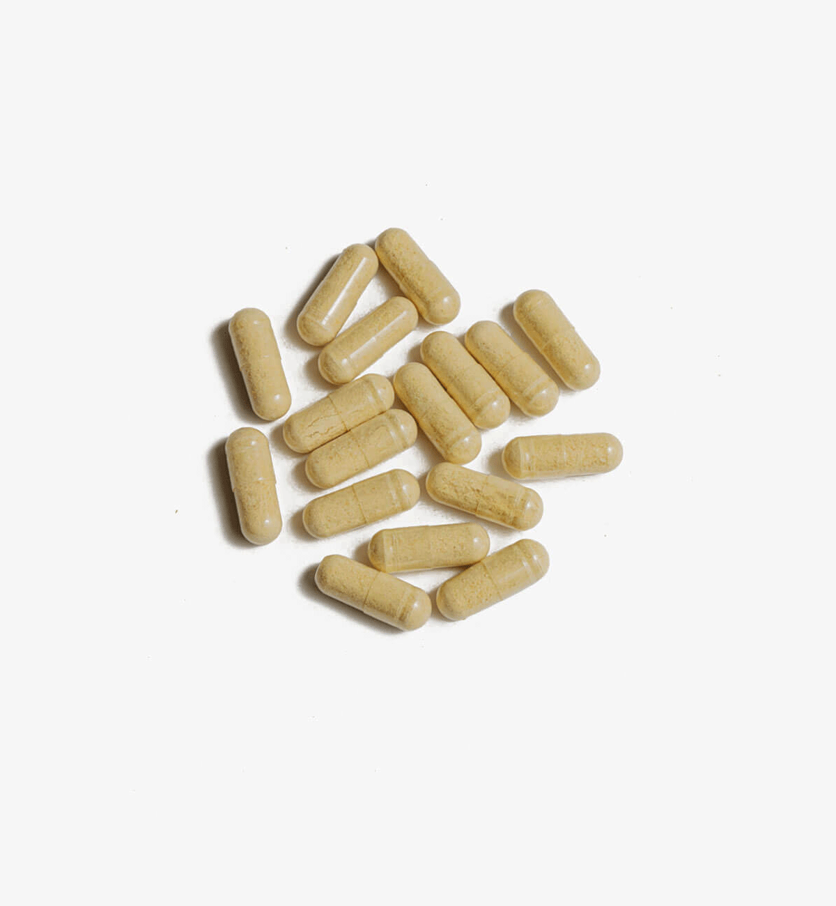 Gelenke Komplex naturtheke, msm kapseln, msm tabletten, MSM und Weihrauch, msm kaufen, gelenk komplex, MSM und Weihrauch kapseln 